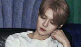 娱乐爆料肖战鹿晗,揭秘明星幕后故事！”